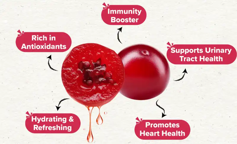 cranberry fruit powder application cranberry fruit powder application