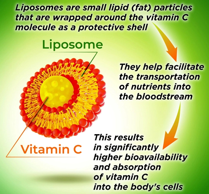 Liposome vitamin c