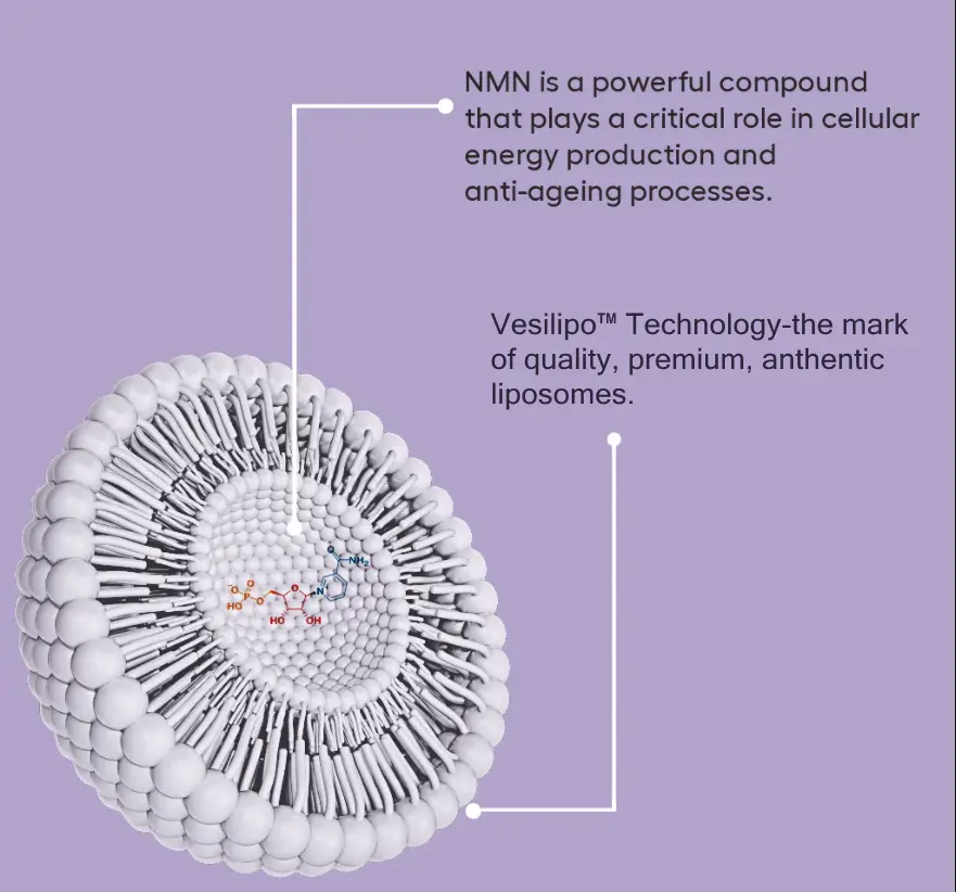 liposomal nmn