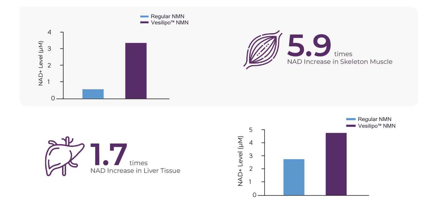 Vesilipo™ Liposomal NMN