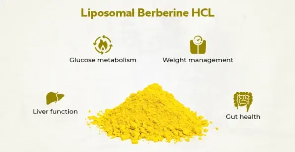 Liposomal Berberine Hcl benefits