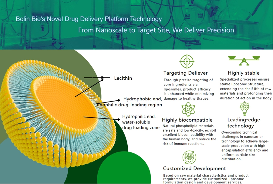 Liposome curcumin factory