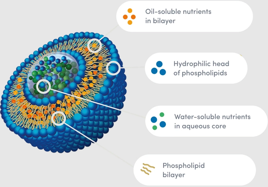 liposomal ashwagandha extract