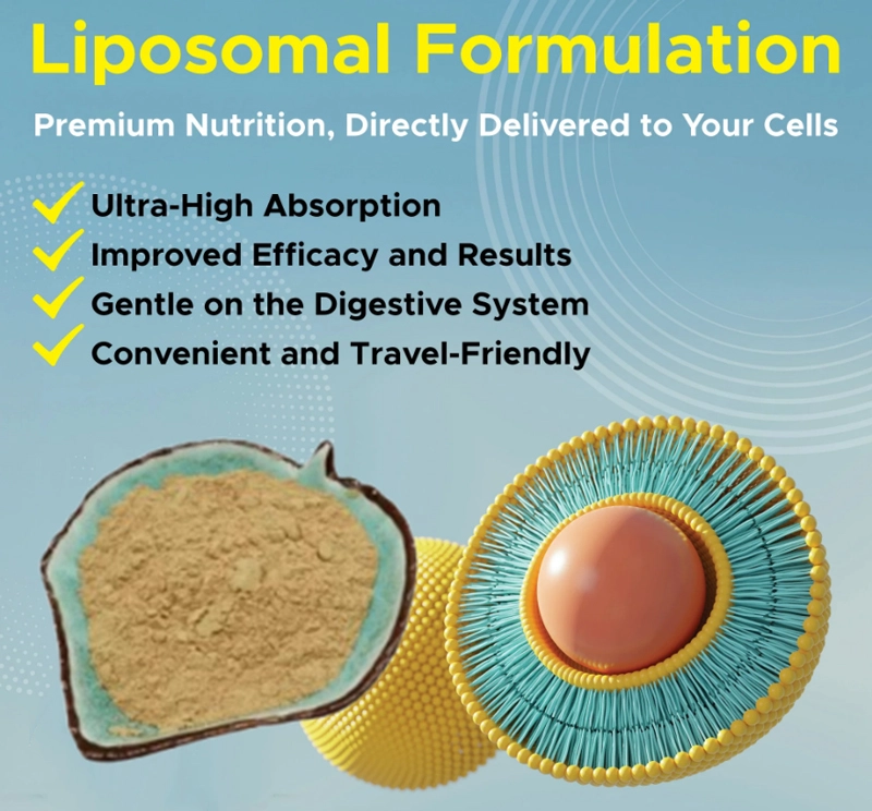 Liposomal Silymarin 