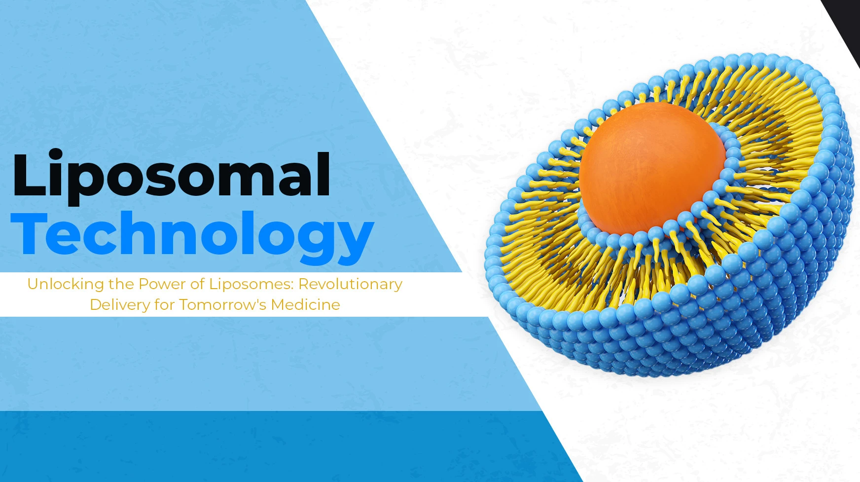 Liposomal Technology