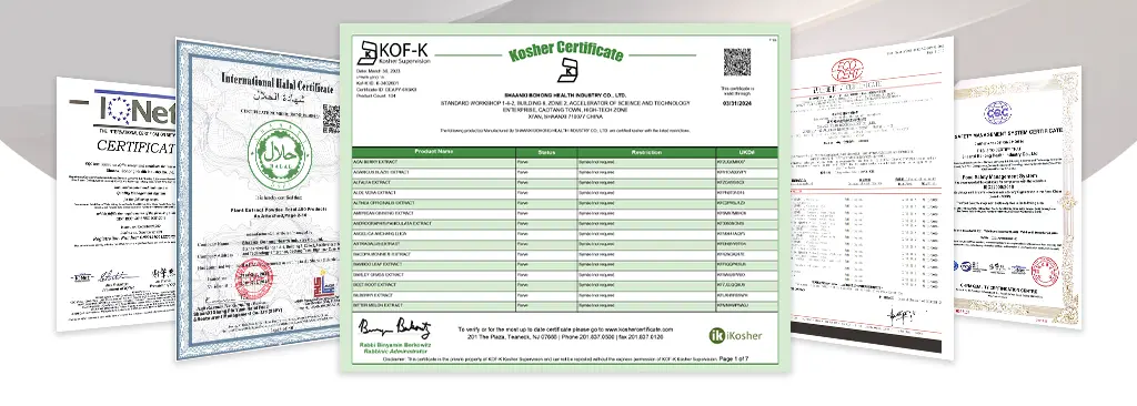 Liposomal Gingerol certificate