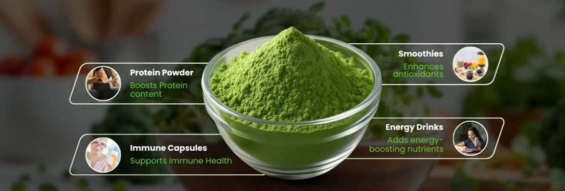 Broccoli Powder application Broccoli Powder application