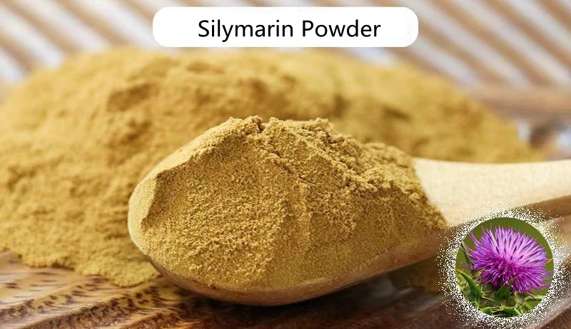 Silymarin Powder Silymarin Powder