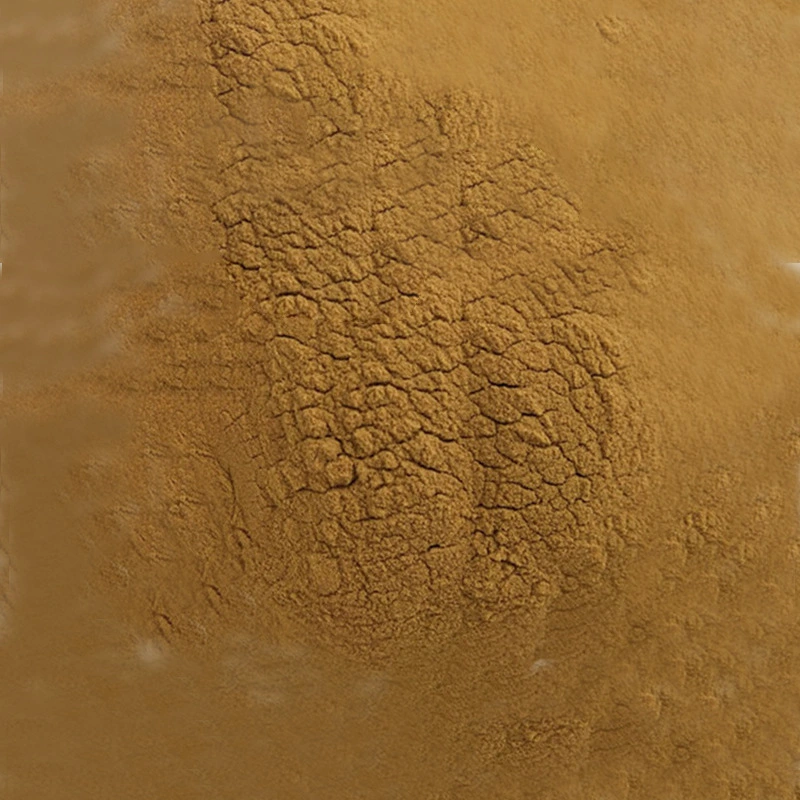 Enoki Mushroom Extract 