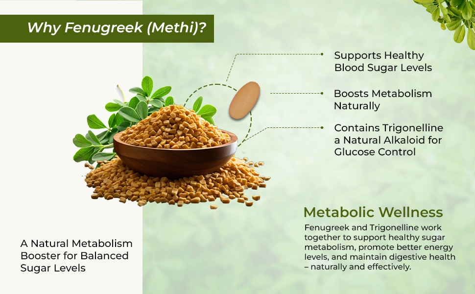 Trigonelline benefits