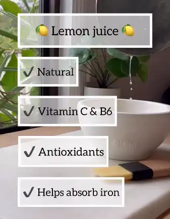 Lemon Juice Powder Lemon Juice Powder