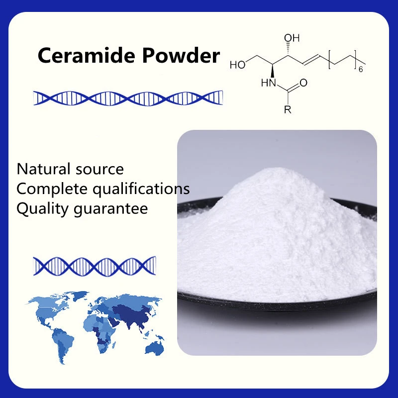 Ceramide Powder