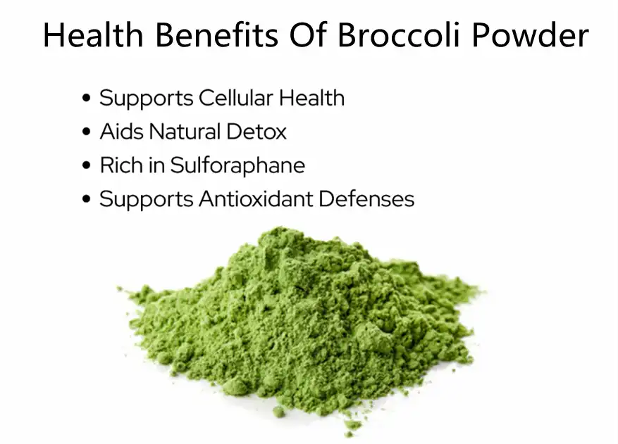 broccoli powder benefits