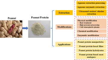 Hydrolyzed Peanut Protein application