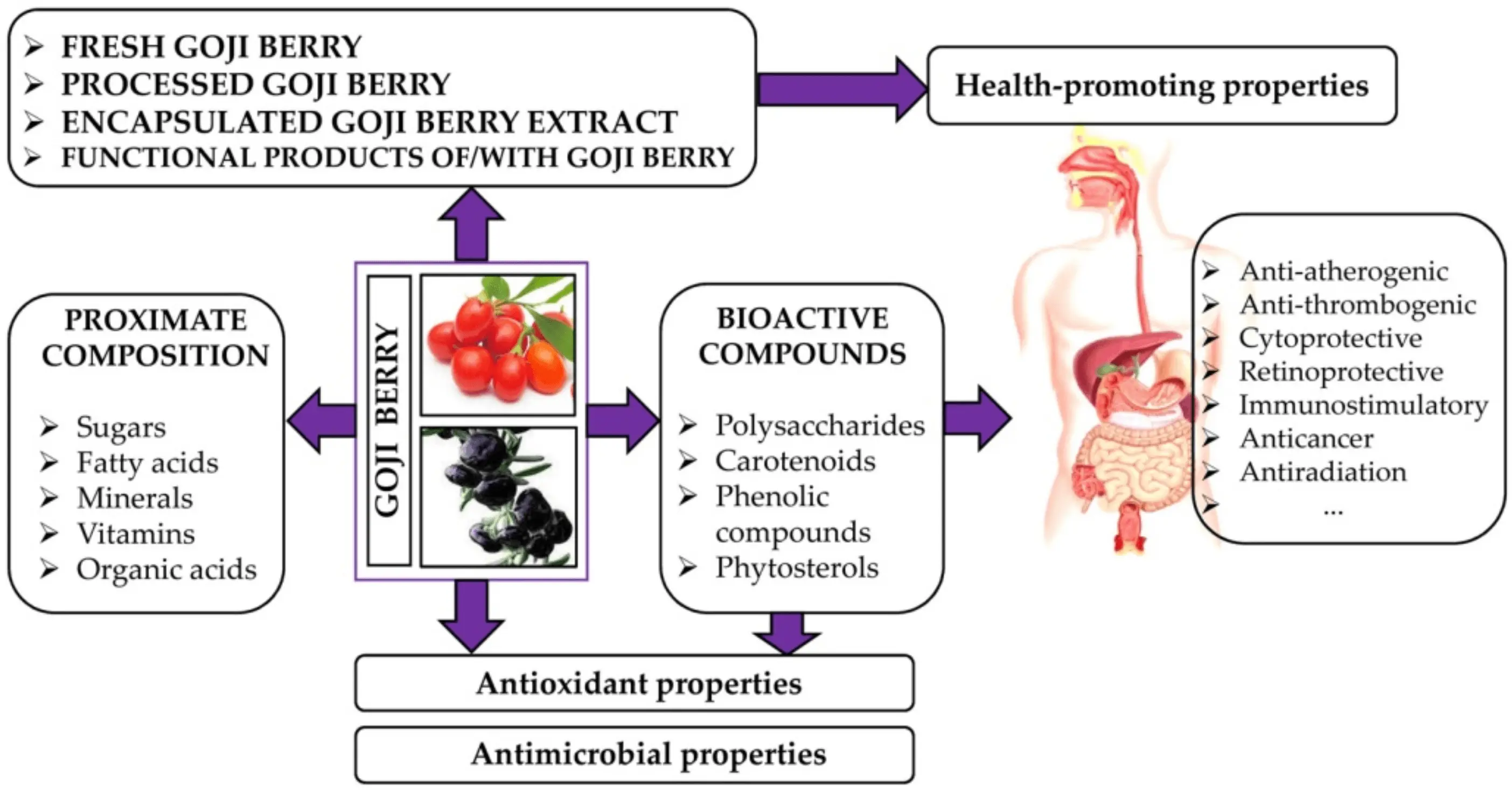 Benefits of  Goji Peptide
