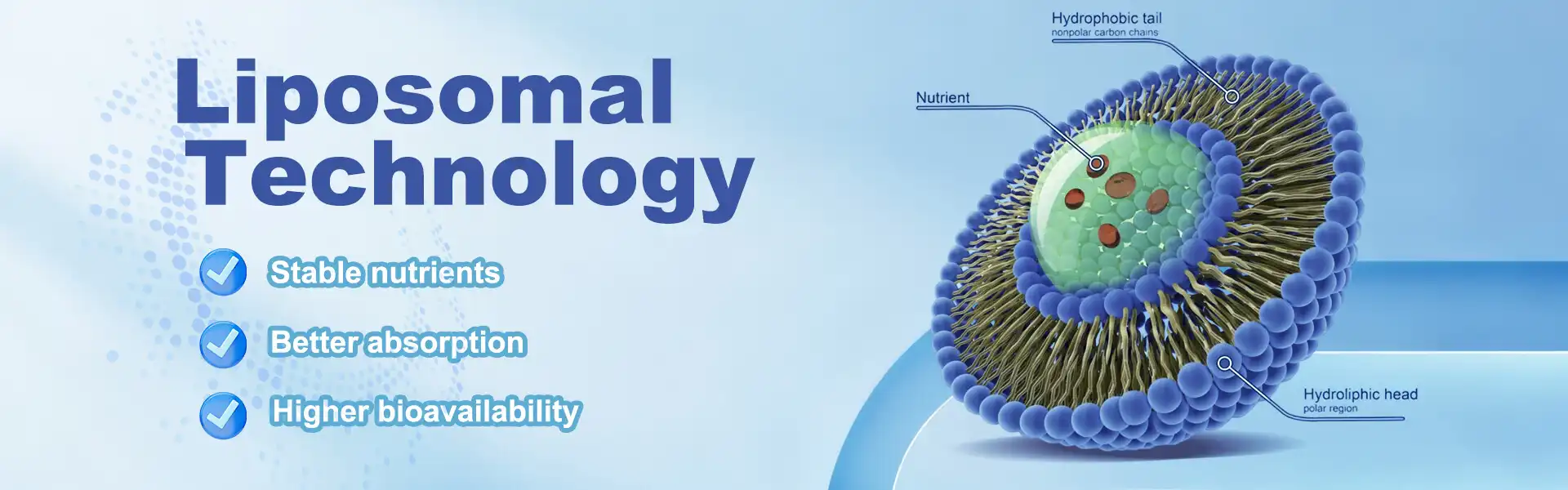 Liposomal CoQ10 supplier Liposomal CoQ10 supplier