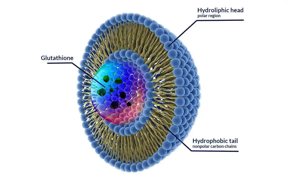 Liposomal Glutathione powder