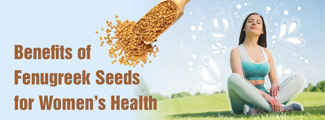 Fenugreek Extract Powder for Women's Health 