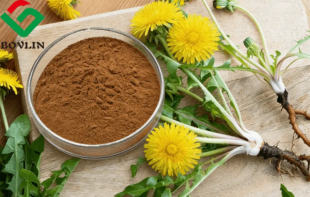Dandelion Root Extract Powder