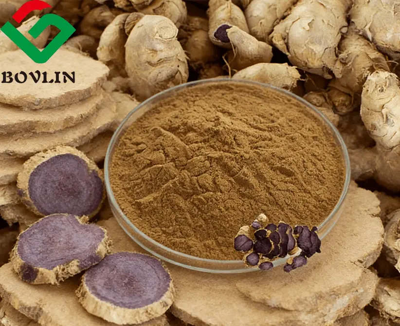 Black Ginger Extract Powder Black Ginger Extract Powder