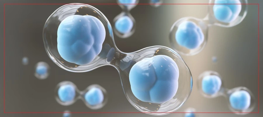 Liposomal Resveratrol Cellular Benefits Liposomal Resveratrol Cellular Benefits