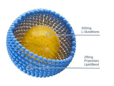 Liposomal Glutathione Powder Liposomal Glutathione Powder