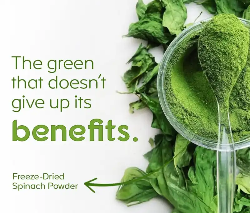 freeze dried spinach powder