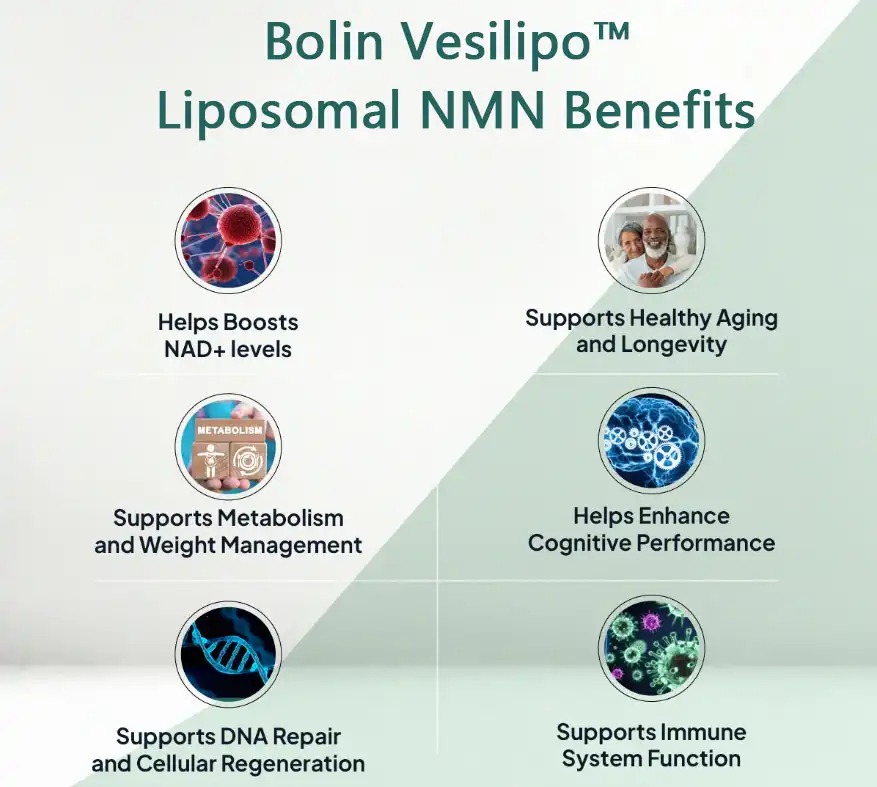 Liposomal NMN Benefits Liposomal NMN Benefits