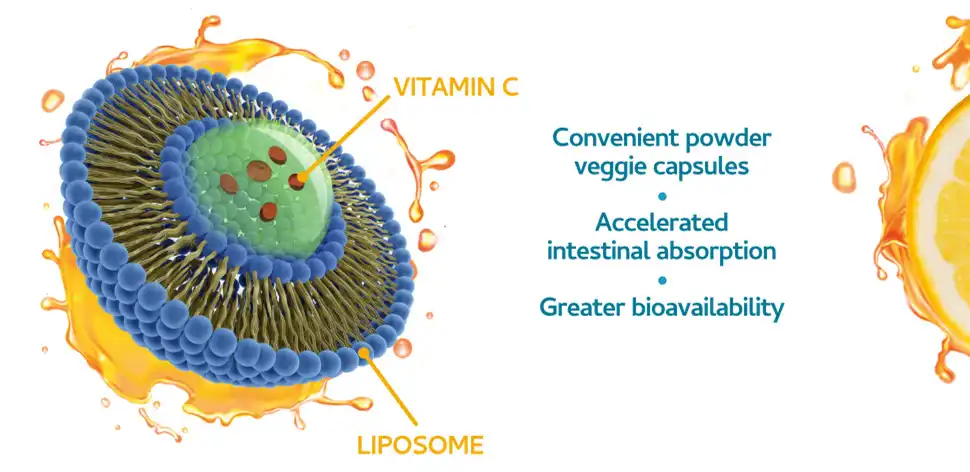 LIPOSOMAL VITAMIN C POWDER
