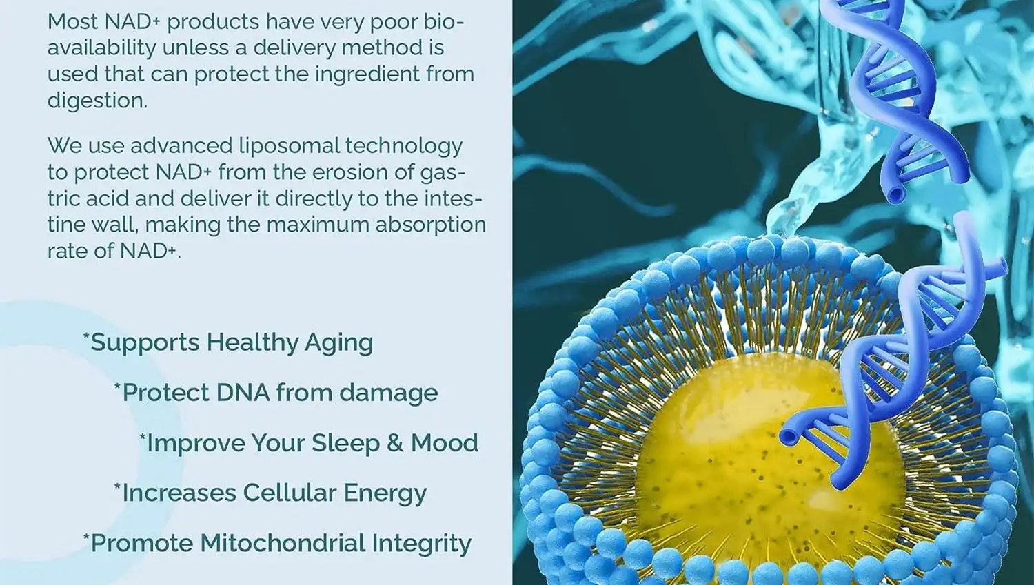 lipsomal nad+ benefits
