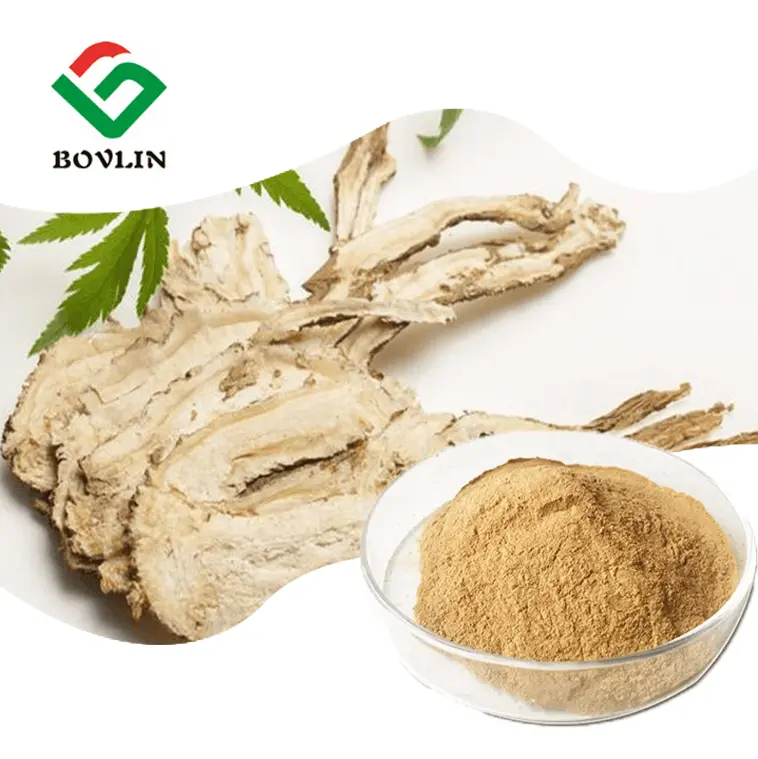 Angelica Dahurica Extract 