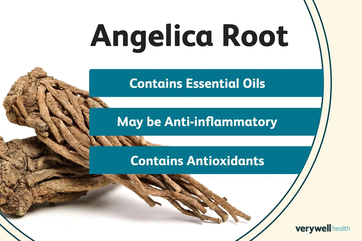 Angelica Dahurica Extract benefit Angelica Dahurica Extract benefit