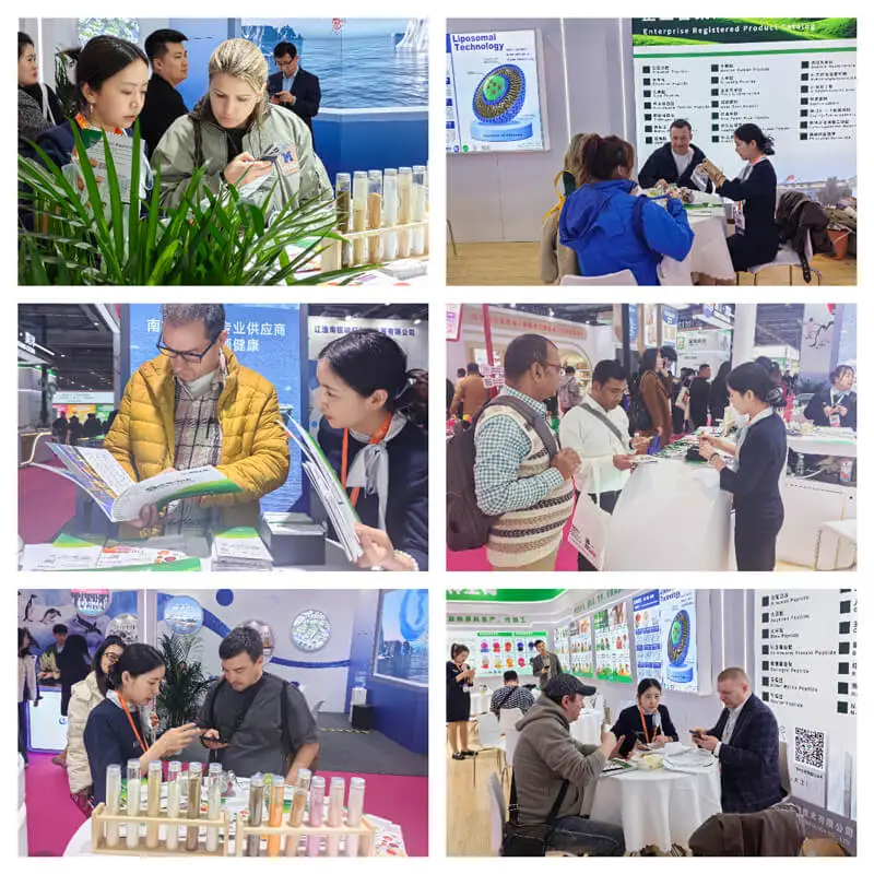 bolin exhibition bolin exhibition