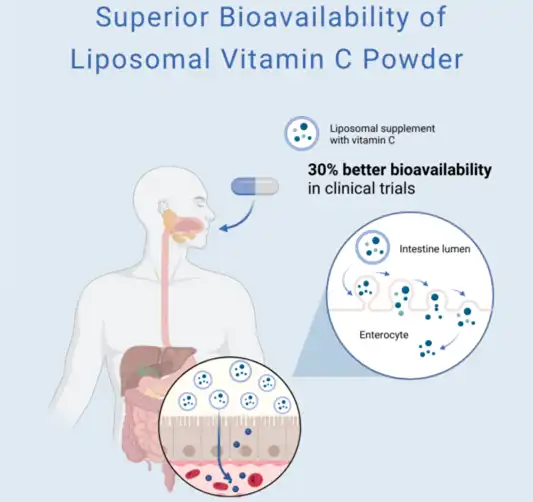 liposomal vitamin c benefits liposomal vitamin c benefits