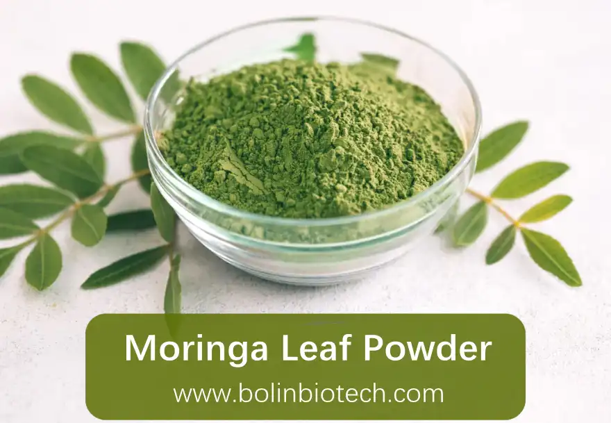 bolin moringa leaf powder bolin moringa leaf powder