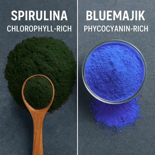Blue and Green Spirulina Powder difference Blue and Green Spirulina Powder difference