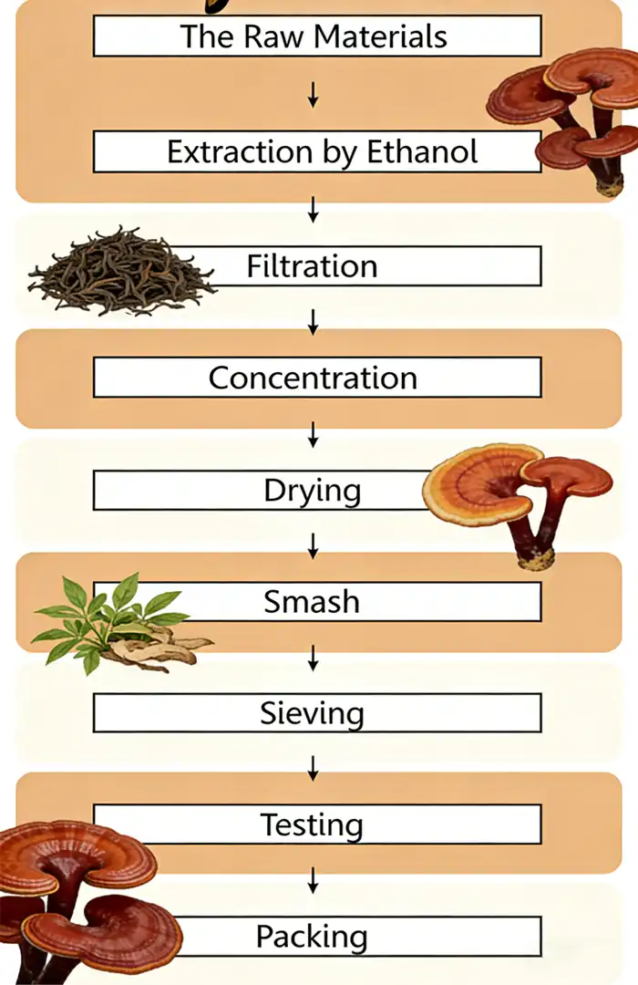 Reishi Mushroom Extract process chart