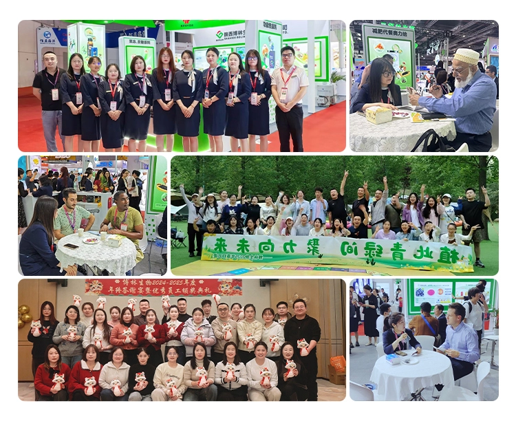 Cinnamon Extract Powder Manufacturer