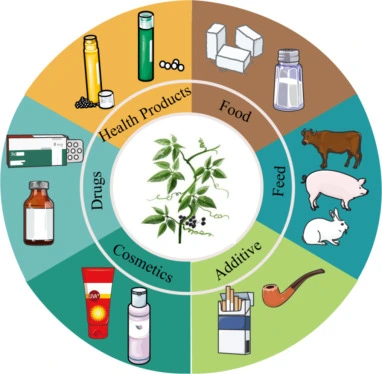 Bulk Gynostemma Pentaphyllum Extract Application Bulk Gynostemma Pentaphyllum Extract Application