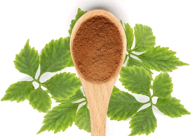 Bulk Gynostemma Pentaphyllum Extract Bulk Gynostemma Pentaphyllum Extract