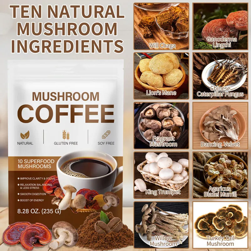 Best Mushroom Coffee Powder