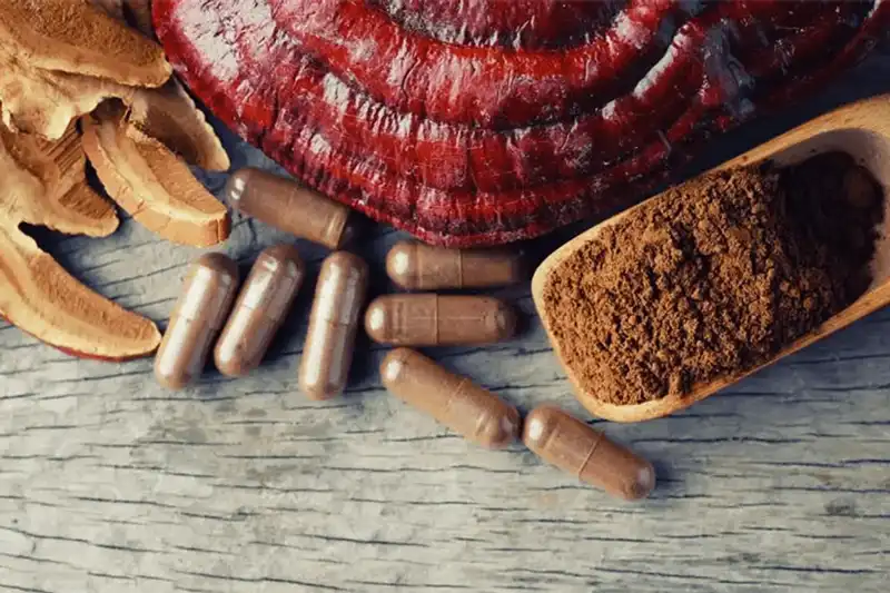 Reishi mushroom extract Reishi mushroom extract
