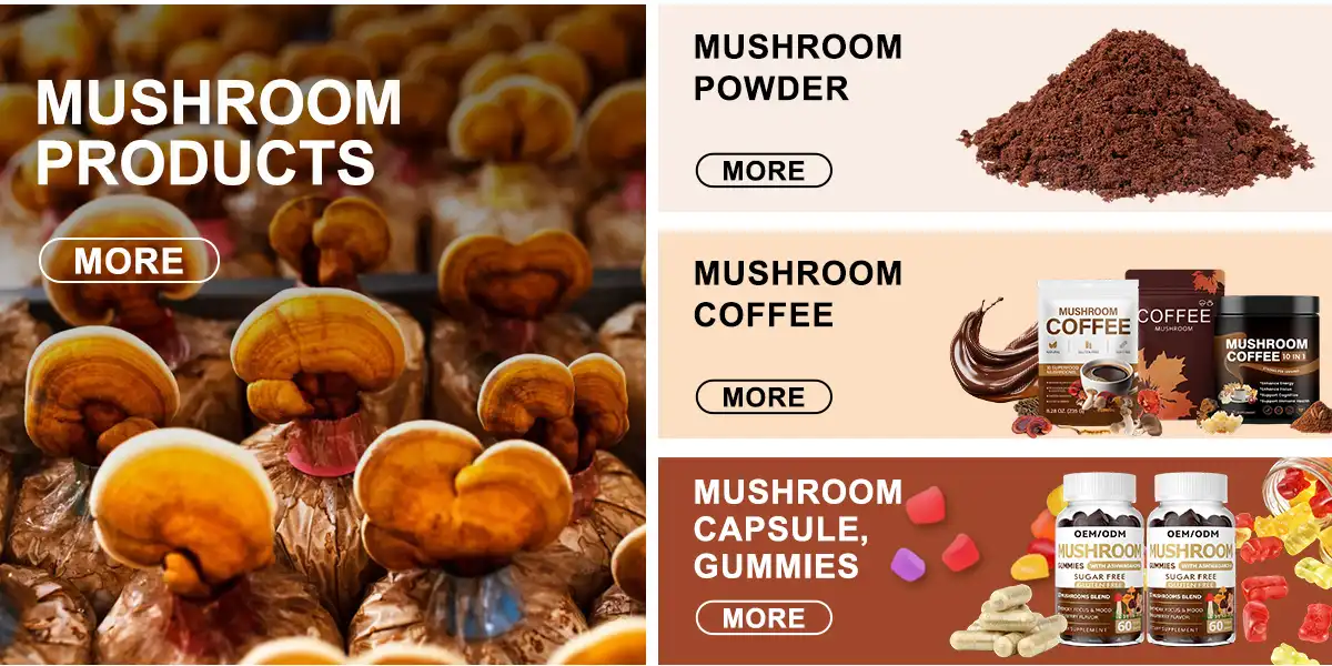 mushroom extract powder supplier