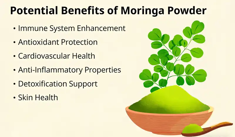 MORING powder benefits