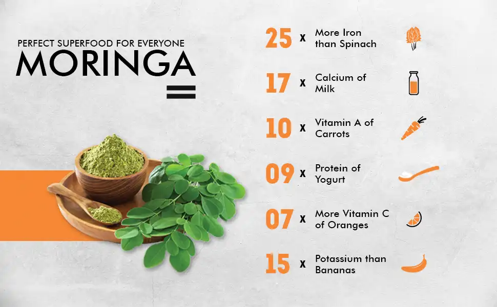 moring powder supplier