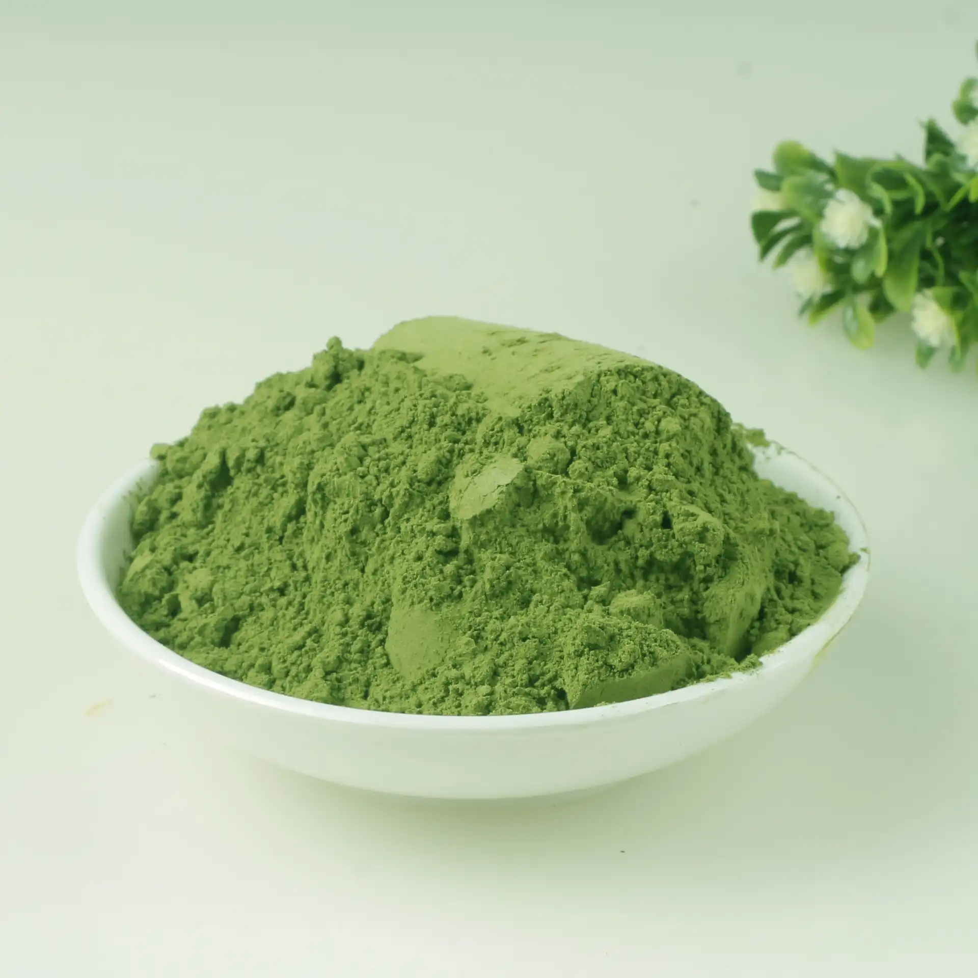 moringa powder supplier moringa powder supplier