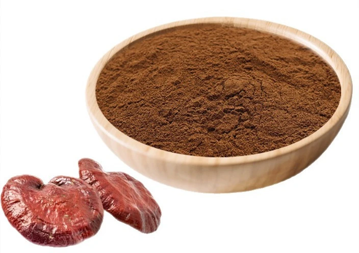 Ganoderma Lucidum Extract supplier