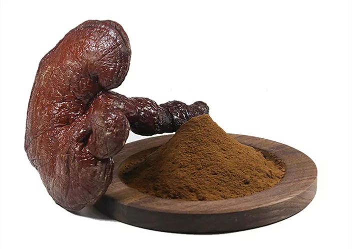 reishi mushroom Extract supplier reishi mushroom Extract supplier