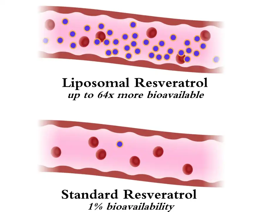 Liposomal Resveratrol Liposomal Resveratrol