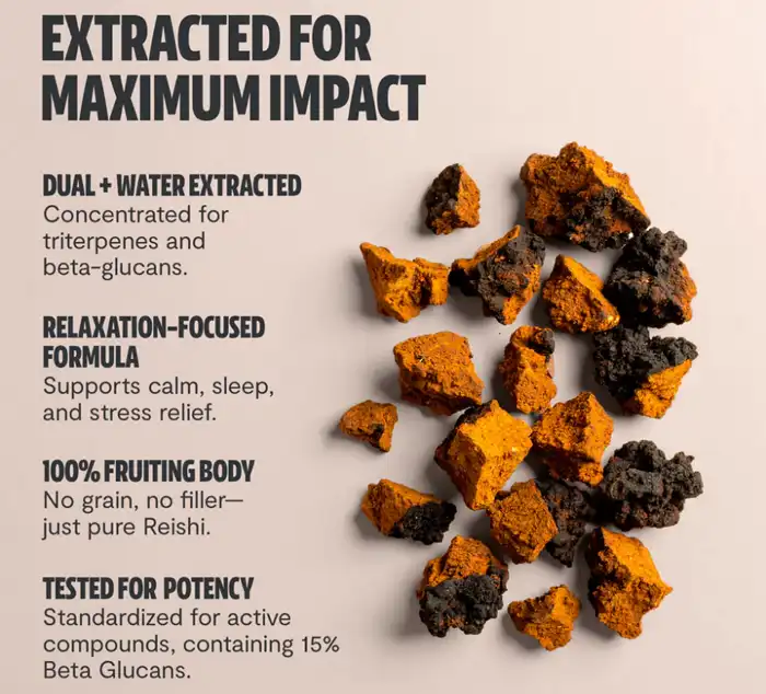 Chaga Mushroom Extract Powder